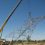 HIGH VOLTAGE TOWER – STEG/KEC (North East & West of Tunisia)